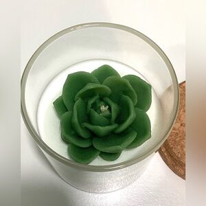 NEW Zoet Studio succulent handcrafted scented soy candle
